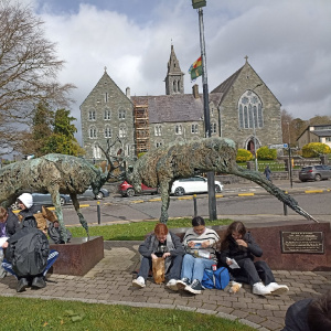 13 pique nique venteux à Killarney