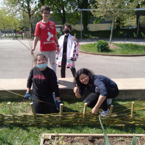 image(7)