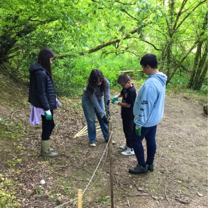 2023-05-23-15-24-33.