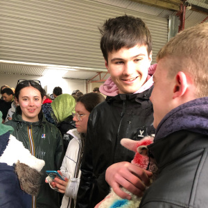 9 avec les agneaux après la démonstration de chien de berger