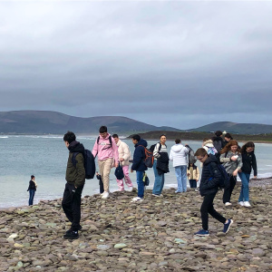 6 balade sur la plage de Waterville