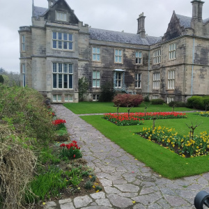 7 muckross manor